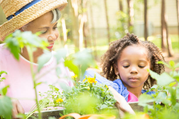 istock Grandmother and child gardening outdoors in spring. 680758946