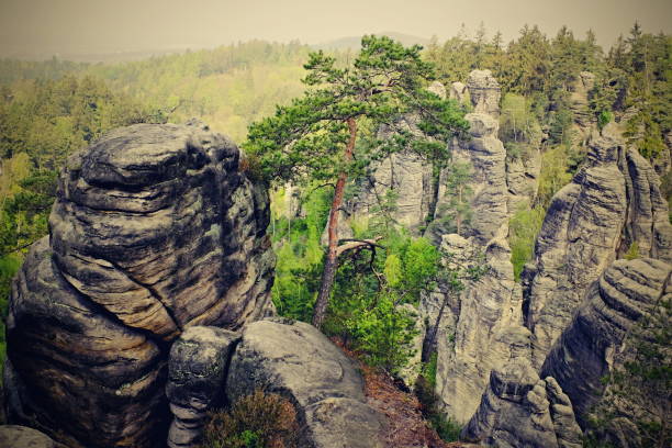 istock sandstone rocks in czech republic 680759492