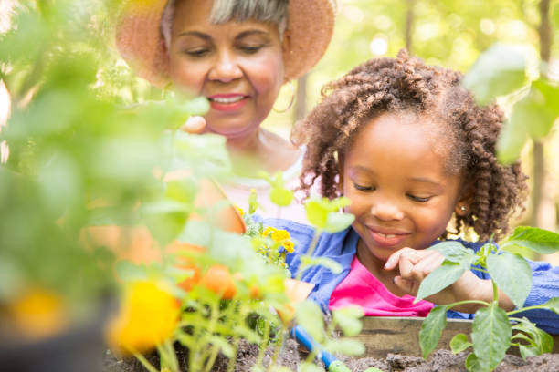 istock Grandmother and child gardening outdoors in spring. 680762236