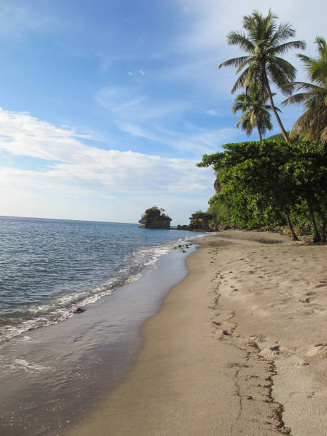 istock The beach at Anse Mamin, Saint Lucia 680765156
