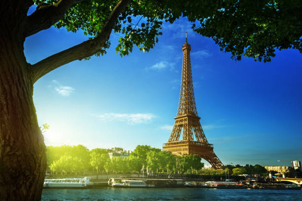 istock Eiffel tower, Paris. France 680765694