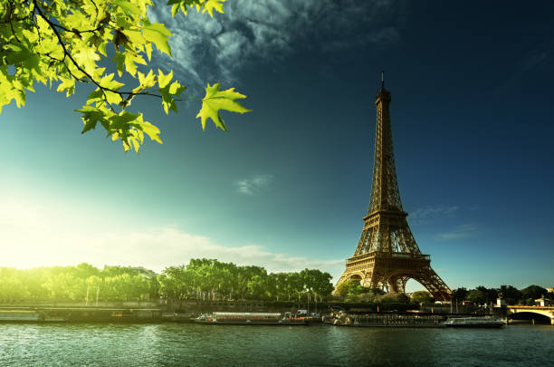 istock Eiffel tower, Paris. France 680765700