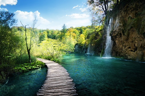 Waterfall in forest,  Plitvice, Croatia
