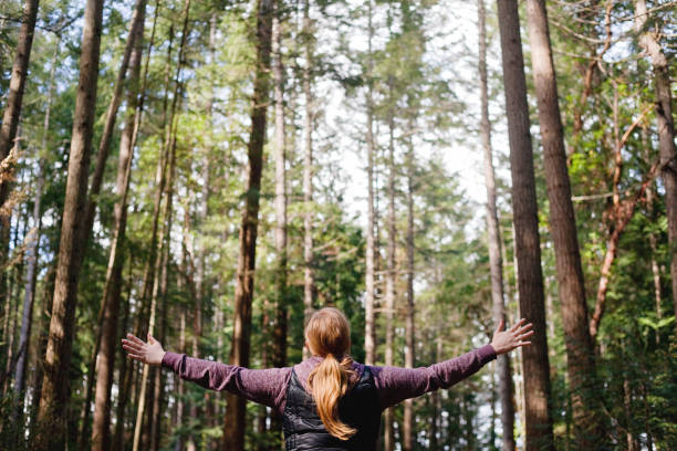 istock Woman with Arms wide Open in the Forest 680778454