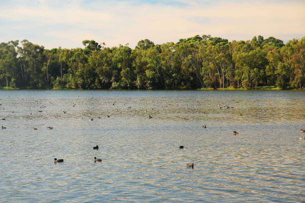istock Lake Monger, Western Australia 680778820