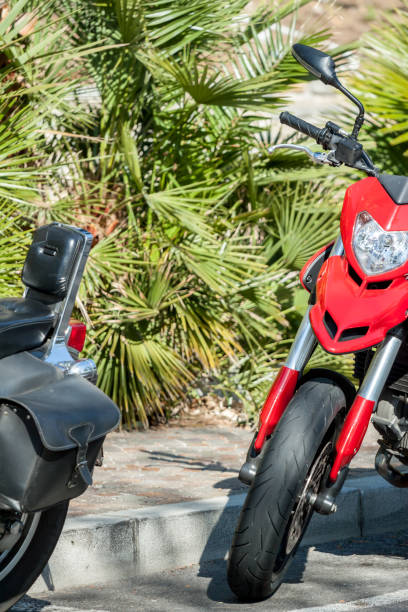 istock red motorcycle parked against green palms background 680783128
