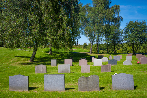 Graveyard in summer light