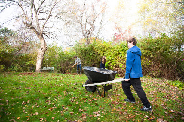 teenage kids help with clearing up leaves in back yard in autumn - mahone bay imagens e fotografias de stock