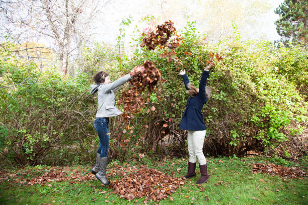 i bambini adolescenti si divertono ad aiutare a ripulire le foglie nel cortile posteriore in autunno - mahone bay foto e immagini stock