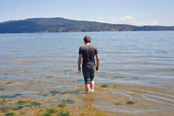 istock Wading in to the Water 680789512