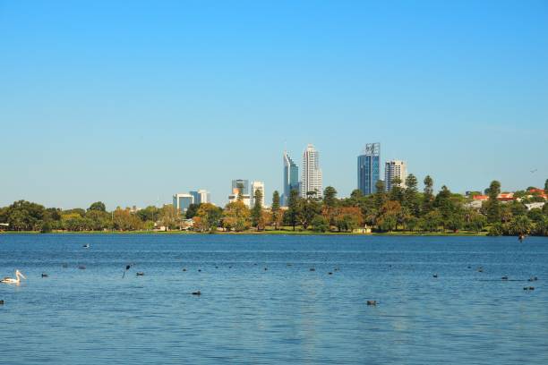 istock Perth city across the Lake Monger, Australia 680789768