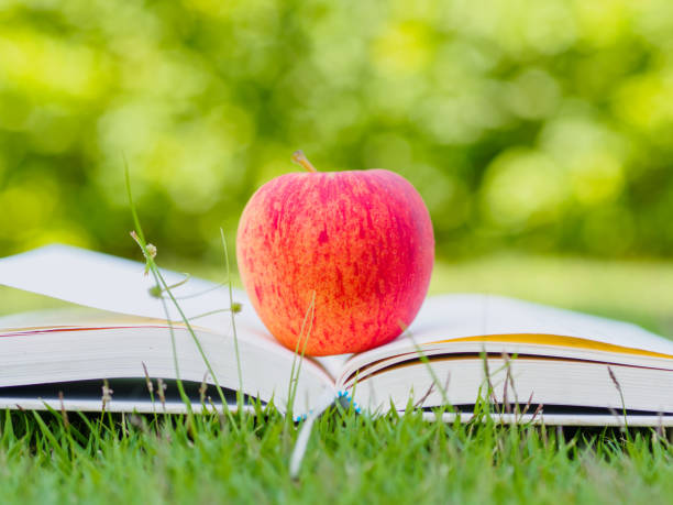 istock World Book Day concept. Red apple and pen put on open book 680819936