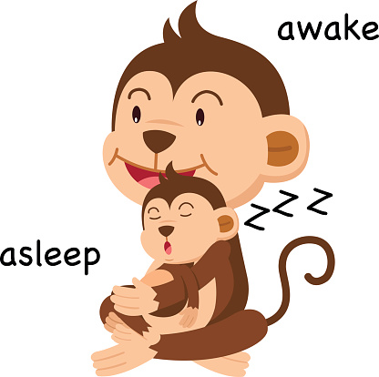 Opposite words asleep and awake vector illustration