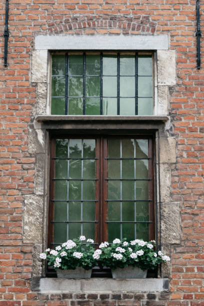 istock Wooden window with white flower pots in old brick building 680846256