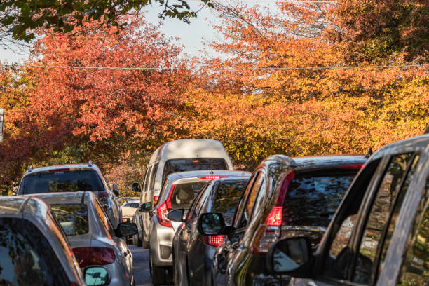 autumn rush hour traffic jam on main suburban road - traffic jam traffic sports utility vehicle car imagens e fotografias de stock
