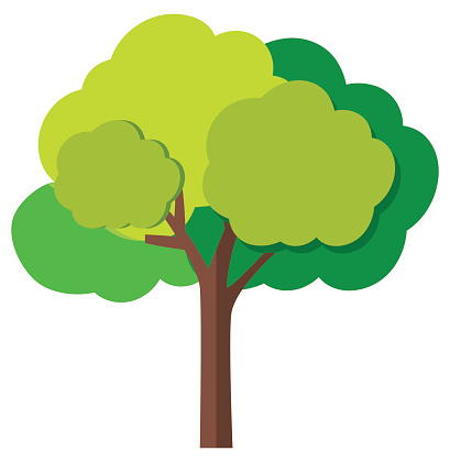Ilustración de Árbol Frondoso Con Ramas y más Vectores Libres de Derechos de Árbol - Árbol, Madera - Material, Agricultura - iStock Ilustración de Árbol Frondoso Con Ramas y más Vectores Libres de Derechos de Árbol - Árbol, Madera - Material, Agricultura - iStock