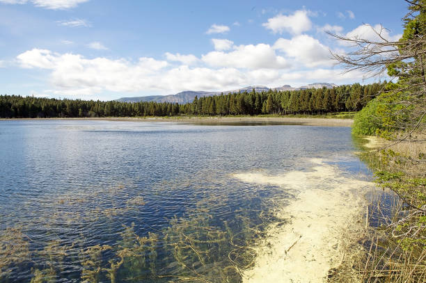 istock Coyhaique National Reserve, Chile 680852256