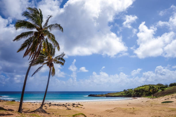 istock Palm trees on Anakena beach, easter island 680855322