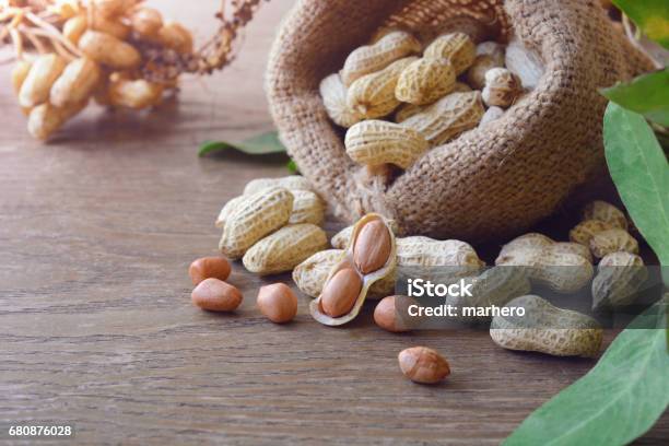 Peanuts Stock Photo - Download Image Now - Peanut - Food, Peanut - Crop, Farm