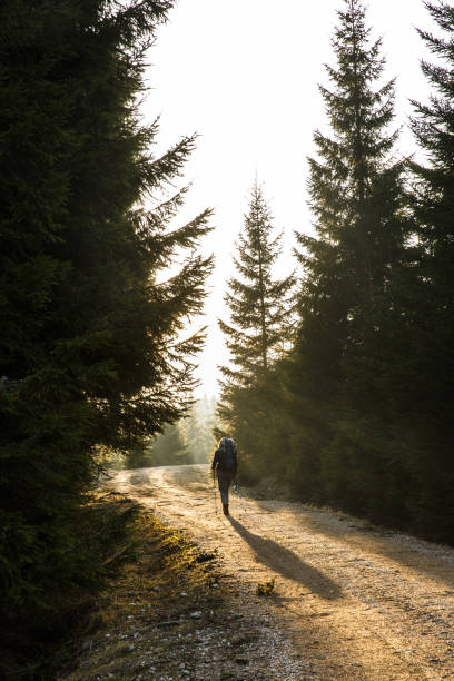 istock Woman hiker walking on a mountain road, sun shining 680888884