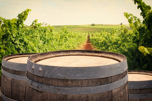 Image of old oak wine barrel in front of wine yard landscape. Useful for product display montage. Vintage filtered