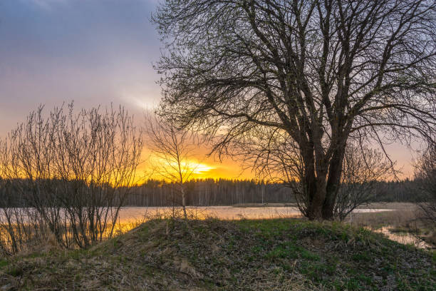 istock Sunset at the small forest lake. 680890254