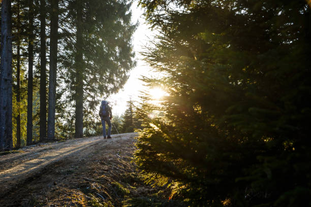 istock Woman hiker resting on a mountain road, sun shining 680897214