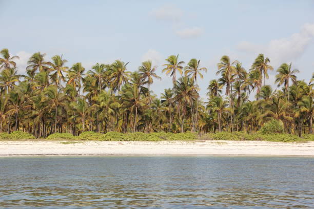 istock Mchanga Beach, Zanzibar, Indian Ocean, Africa 680897406