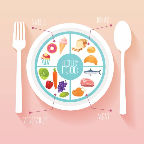 ilustrações de stock, clip art, desenhos animados e ícones de healthy food and dieting concept. plan your meal infographic with dish and cutlery. flat design style modern vector illustration concept. - portion