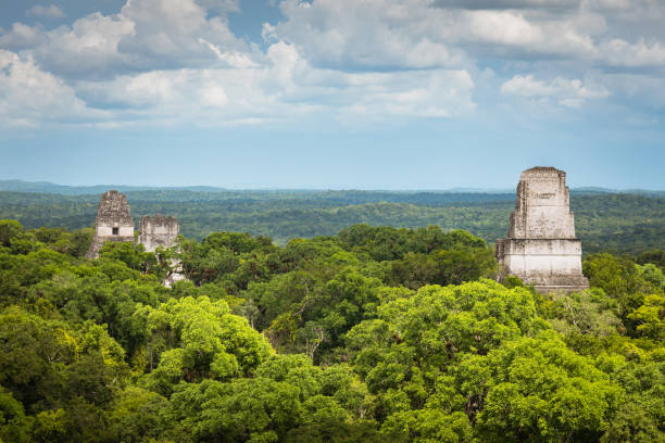 widok z lotu ptaka tikal rainforest gwatemala piramidy świątyni majów - mayan temple old ruin ancient zdjęcia i obrazy z banku zdjęć