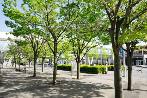 istock high rise residential apartment 680910048