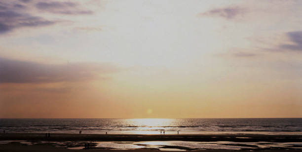 pas de calais france - shot on medium format film