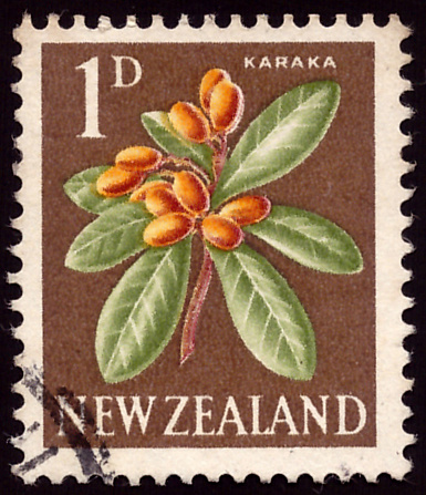 NEW ZEALAND - CIRCA 1960: A stamp printed in New Zealand, shows a flowering Karaka (Corynocarpus laevigatus), circa 1960
