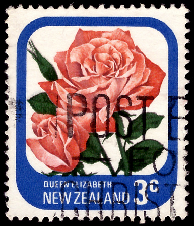 NEW ZEALAND - CIRCA 1975: stamp printed by New Zealand, shows flower Rose Elizabeth, circa 1975
