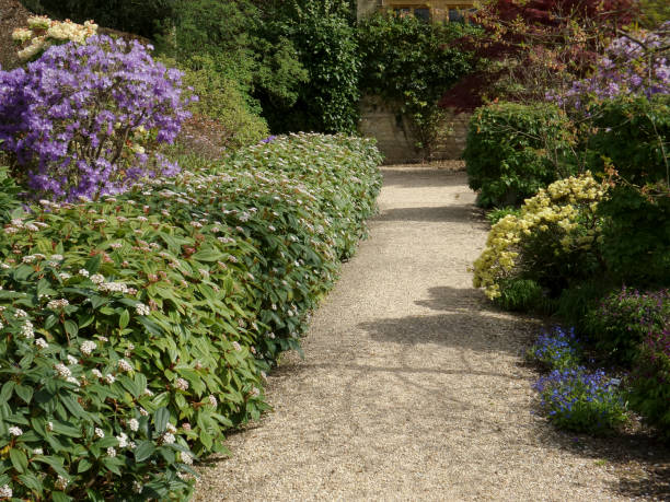 istock lush english cottage garden 680953708