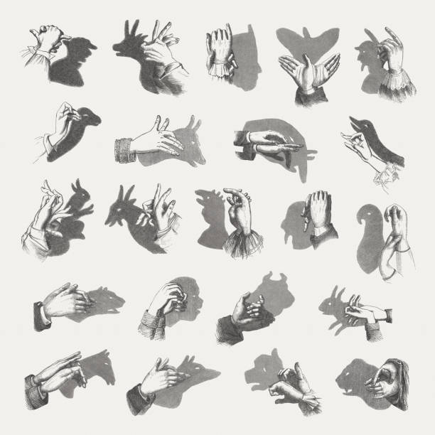 Top Hand Shadow Stock Vectors, Illustrations & Clip - iStock | shadow puppet, Hand shadow bird, Hand wall