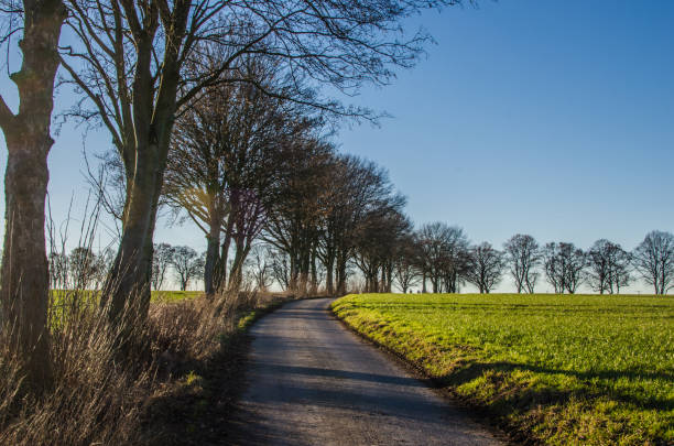 istock Landscape background taken outdoors in fields with copy space 681011404