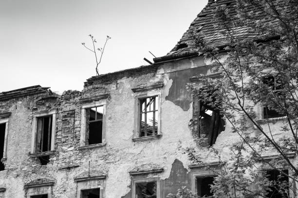 istock Ruines of house, bw 681013910