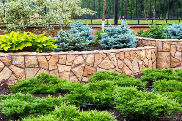 istock Natural landscaping in home garden 681017262