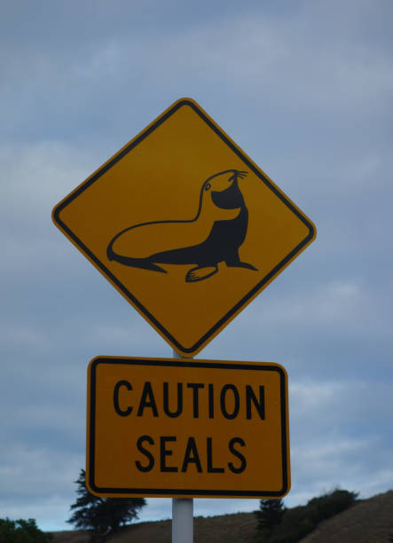 istock Sign Caution Seals New Zealand 681017692