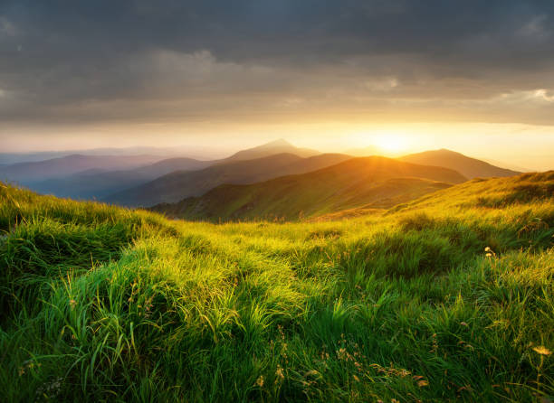 明るい日没時に山の谷。夏には、美しい自然の風景 - mountain sunset heaven flower ストックフォトと画像
