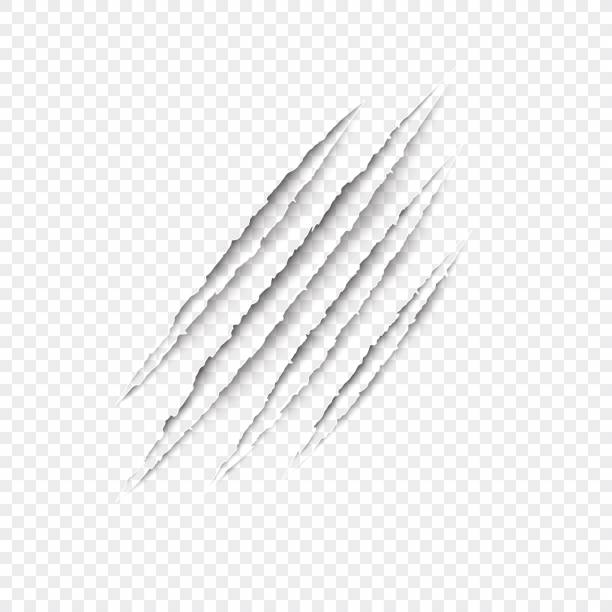 Claws scratches - vector isolated on transparent background. Claws scratches - vector isolated on transparent background. Claws scratching animal (cat, tiger, lion, bear) illustration. claw scratch stock illustrations