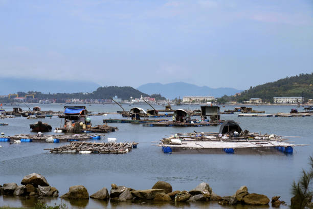 istock fishing shacks, Khe Sanh, Vietnam 681038214