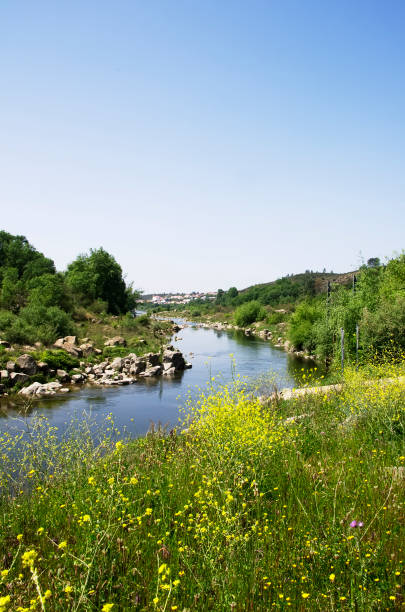 istock Tagus river near almourol 681039454