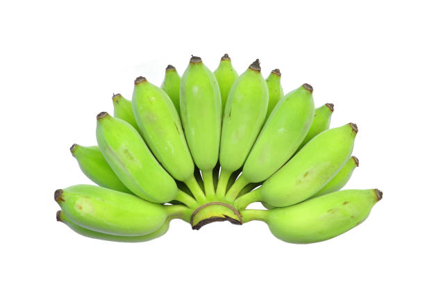 istock Bunch of bananas isolated 681044480