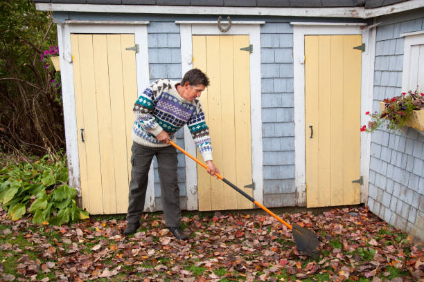 maturo uomo adulto in maglione colorato cancella le foglie nel cortile sul retro in autunno - mahone bay foto e immagini stock