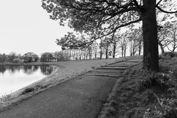 연못, 나무와 보도, inverleith 공원, 흑백에 딘 버 러, 스코틀랜드 - scotland cyprus 뉴스 사진 이미지