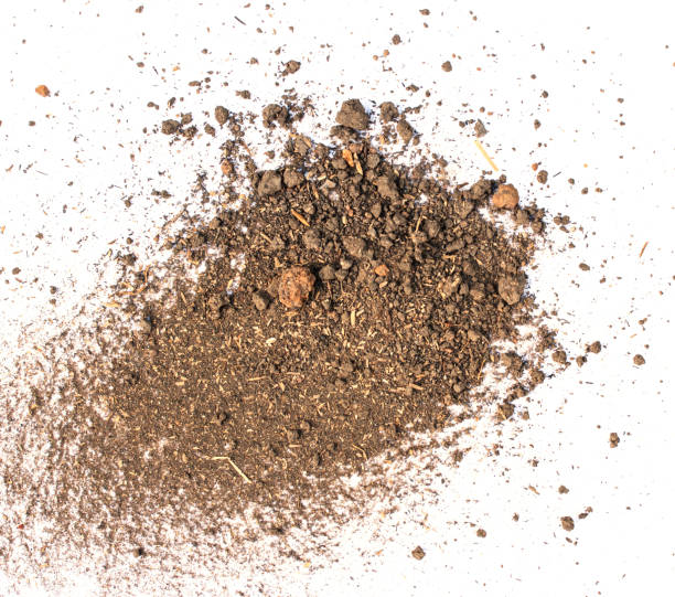 istock dirty earth on white background natural 681071594