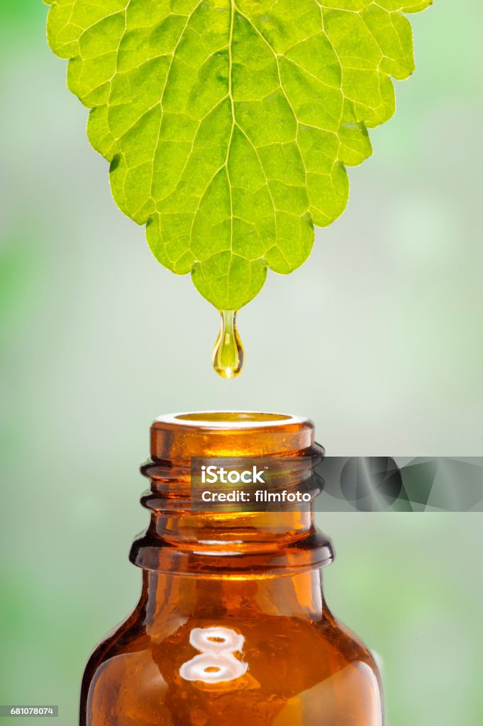 alternative medicine, droplet of oil essence is falling down from a leaf alternative medicine, droplet of oil essence is falling down from a leaf into a medical bottle Alternative Medicine Stock Photo