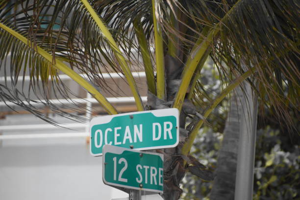 istock Street sign, Miami Beach 681085144